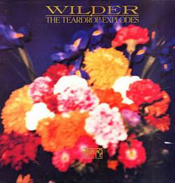 The Teardrop Explodes : Wilder